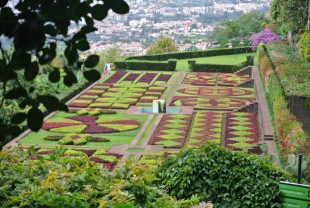 Jardim Botanico - Madeira - Dana and Wild - 2