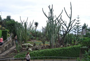 Jardim Botanico - Madeira - Dana and Wild - 6