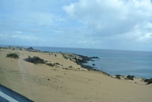 Fuertaventura- Dana and Wild-1