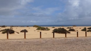 Fuertaventura - Dana and Wild-6