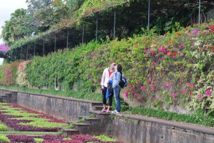 Jardim Botanico - Madeira - Dana and Wild - 3