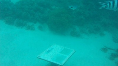 Ilot des deux cocos info table under sea